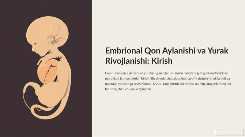 Embrional Qon Aylanishi va Yurak Rivojlanishi: Kirish