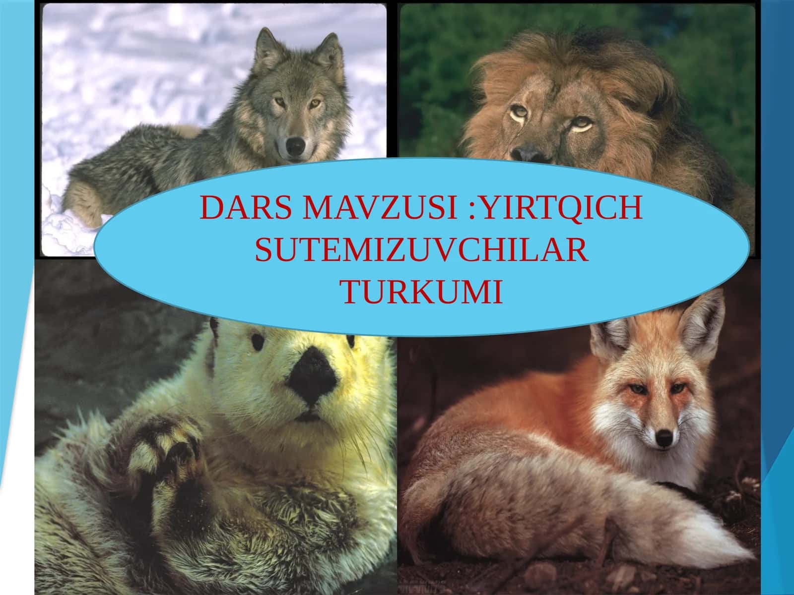 YIRTQICH SUTEMIZUVCHILAR TURKUMI