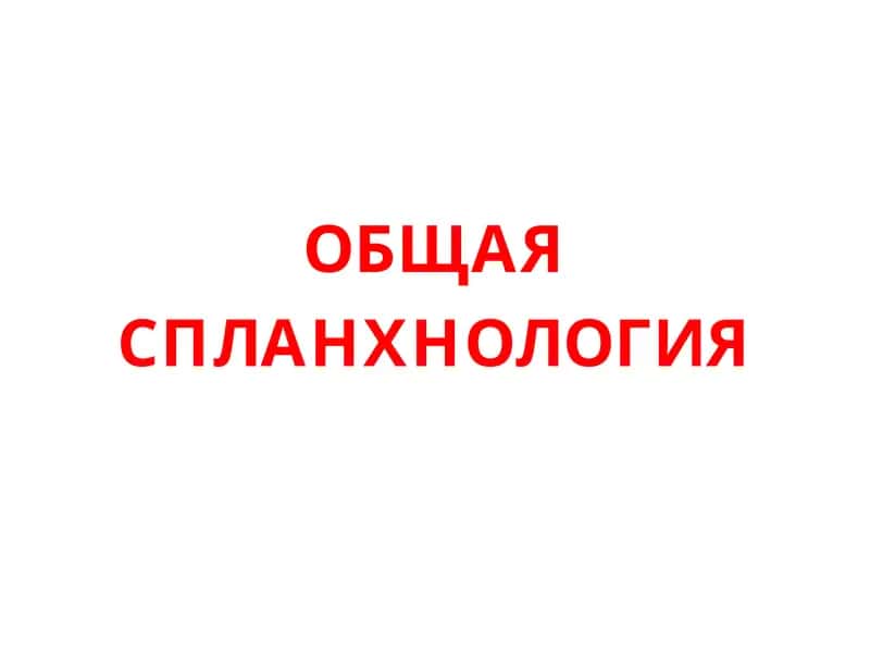 ОБЩАЯ СПЛАНХНОЛОГИЯ