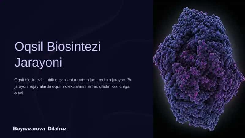 Oqsil Biosintezi Jarayoni