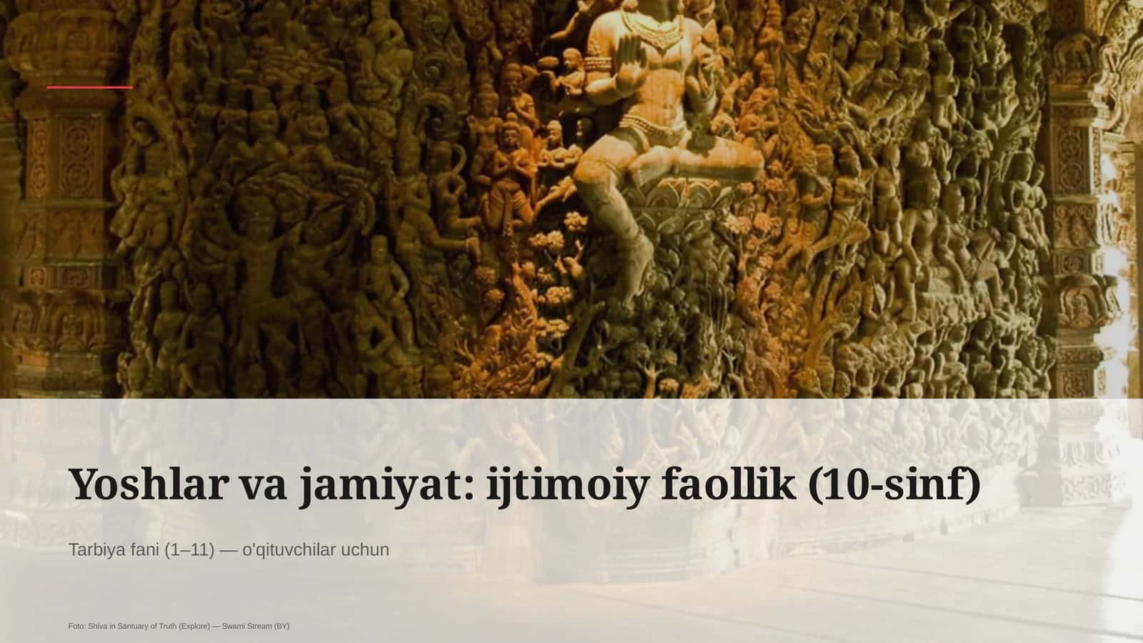 Yoshlar va jamiyat: ijtimoiy faollik (10-sinf)