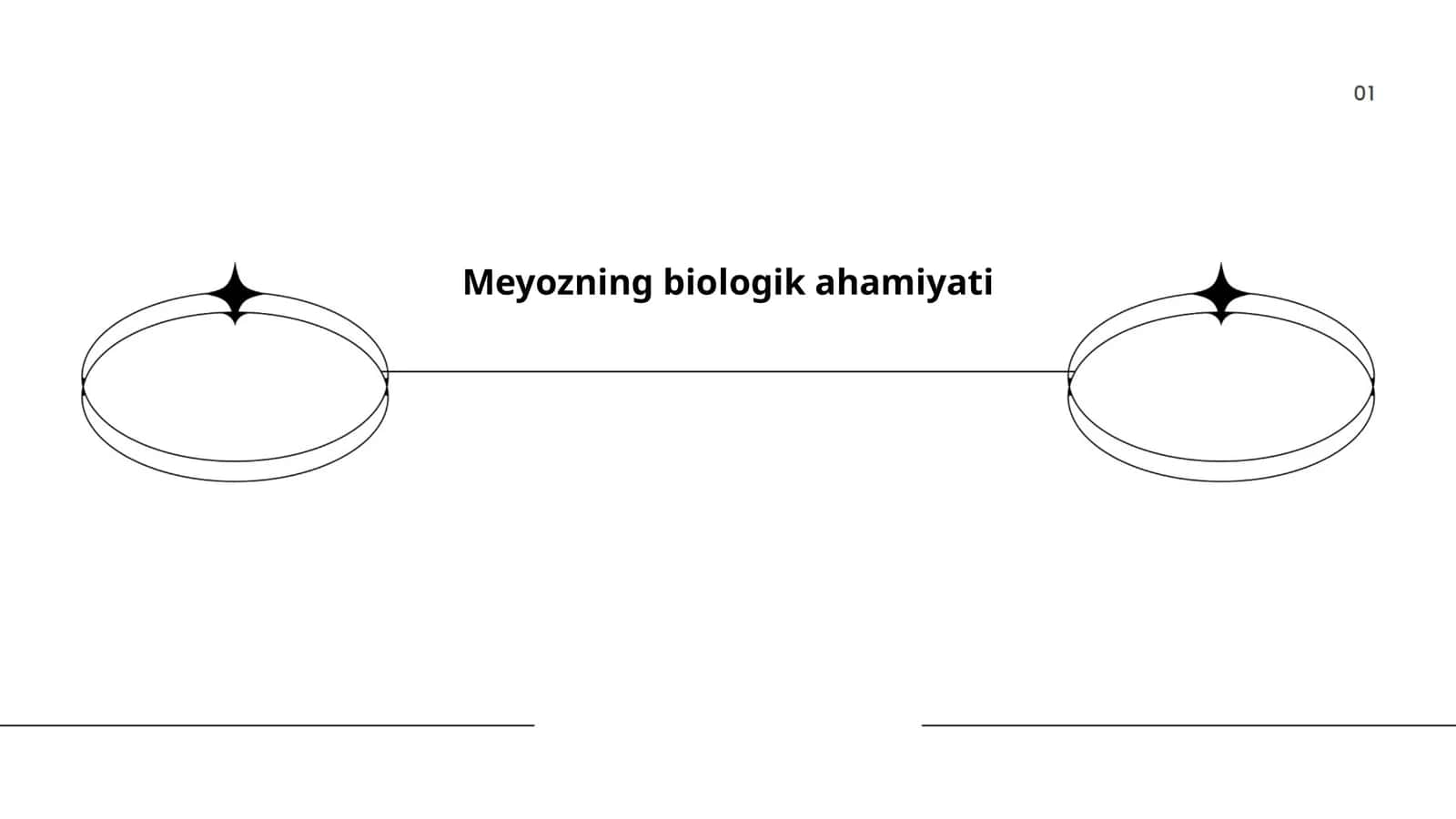 Meyozning biologik ahamiyati