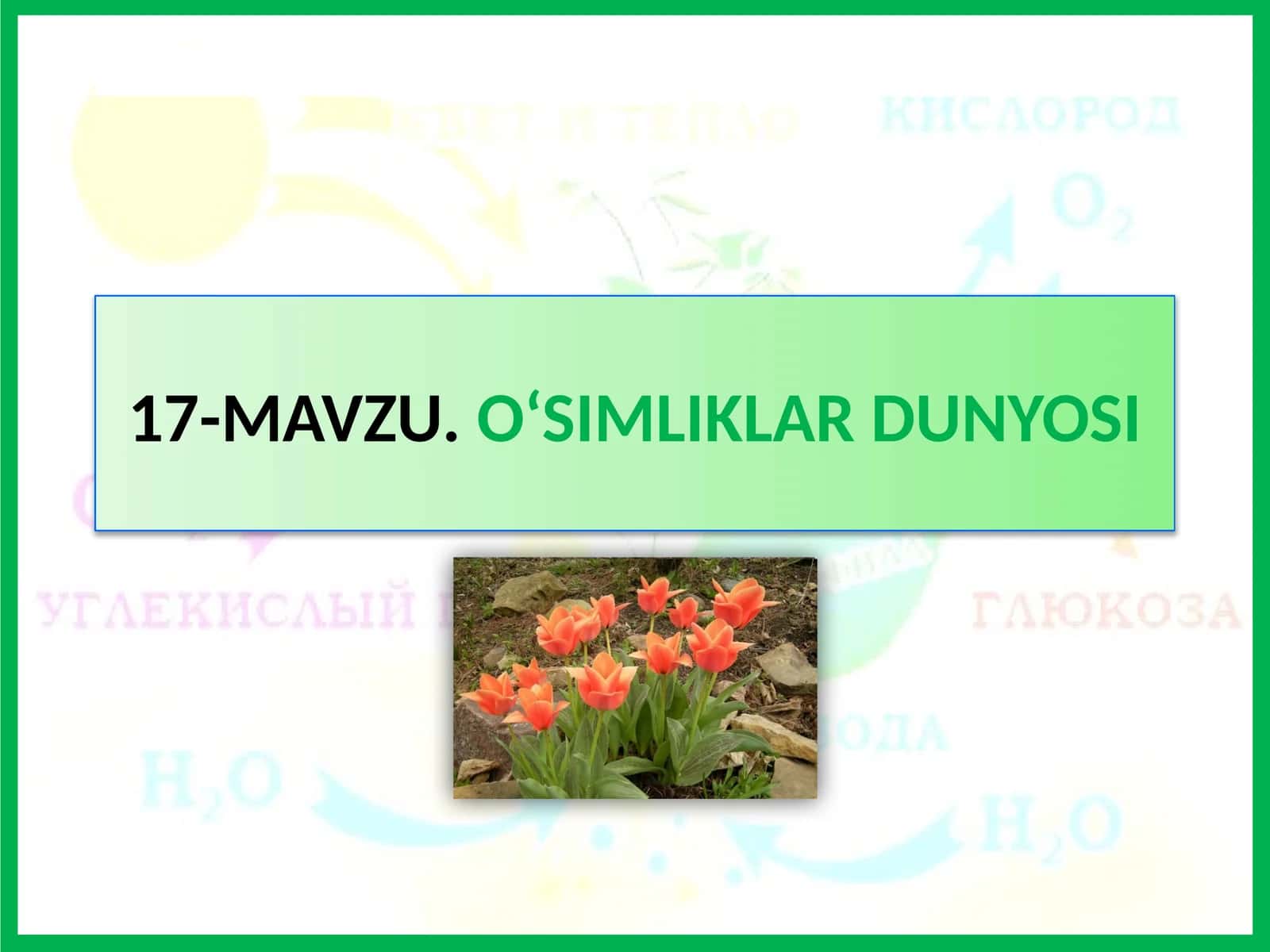 MAVZU.O‘SIMLIKLAR DUNYOSI