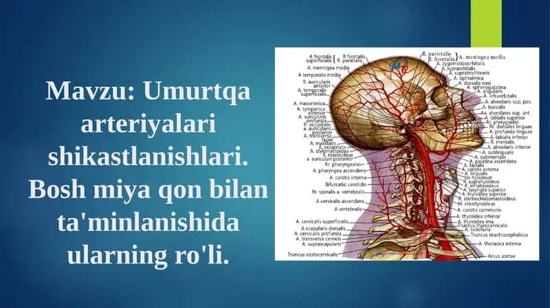 Umurtqa arteriyalari shikastlanishlari