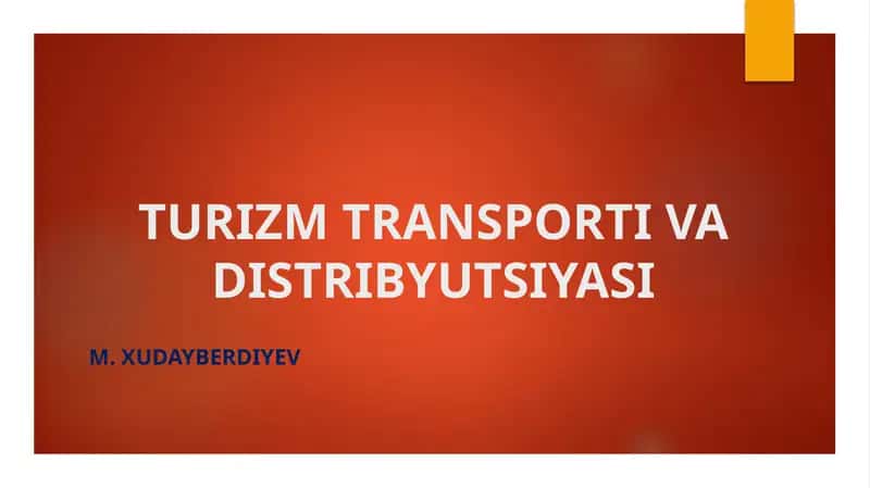 TURIZM TRANSPORTI VA DISTRIBYUTSIYASI