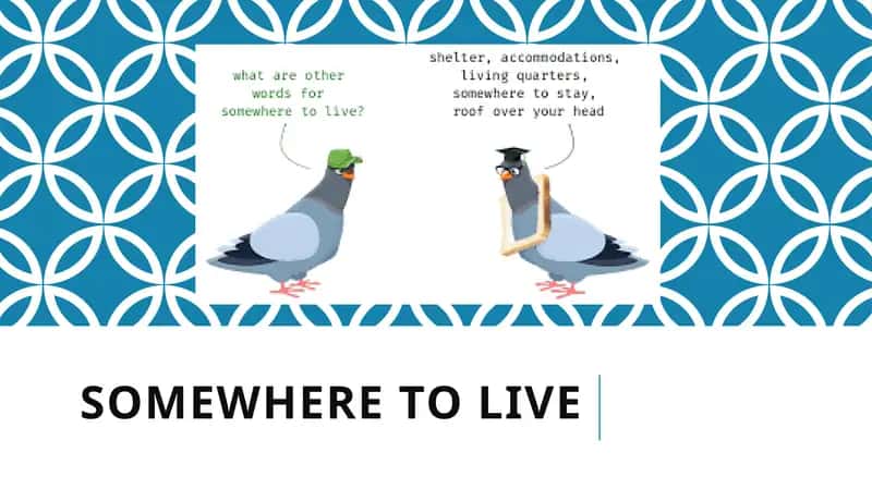 Somewhere to Live