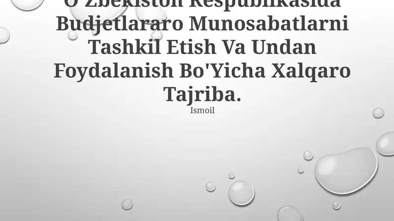 Byudjetlararo Munosabatlarni Tashkil Etish Va Undan Foydalanish Bo'Yicha Xalqaro Tajriba