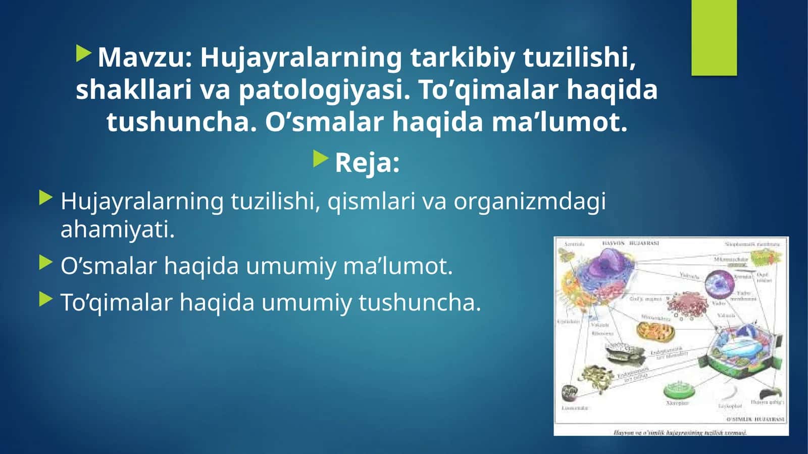 Hujayralar tuzilishi va vazifalari