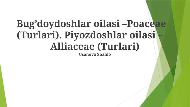 Poaceae va Alliaceae oilalarining mazmuni