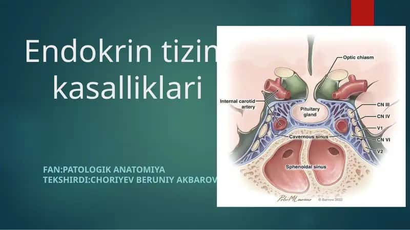 Endokrin tizim kasalliklari