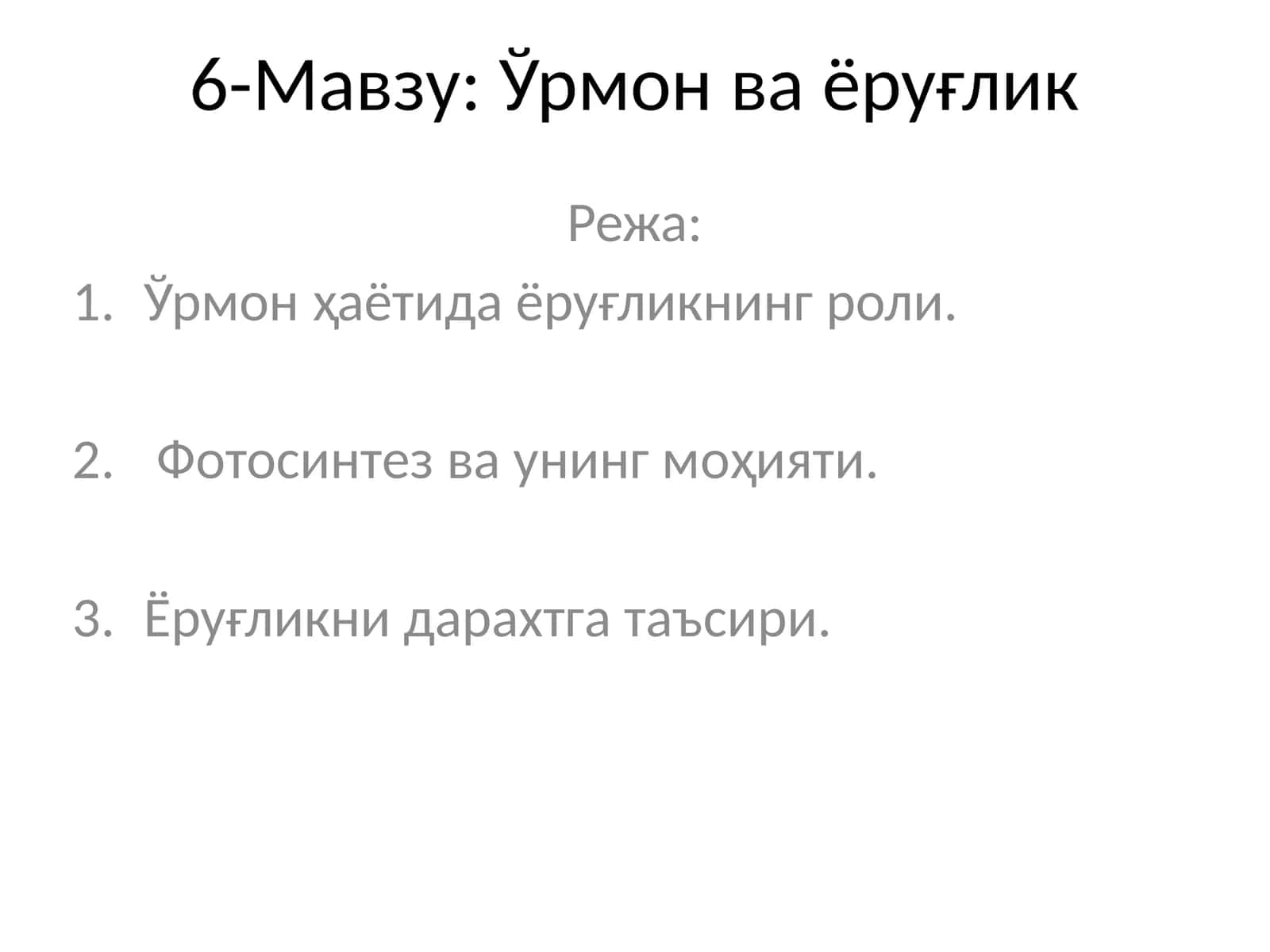 Ўрмон ва ёруғлик