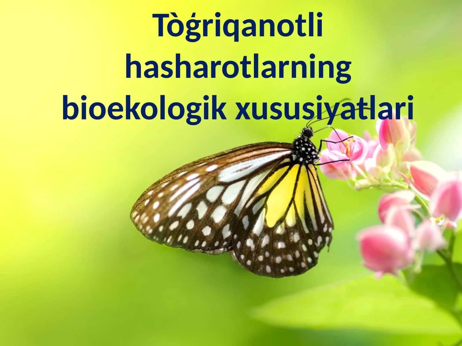 To‘liq O‘zgarish Bilan Rivojlanuvchi Hasharotlar