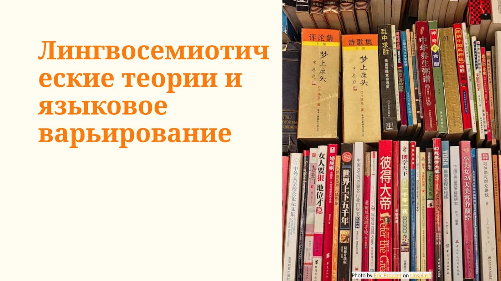 Лингвосемиотические теории и языковое варьирование