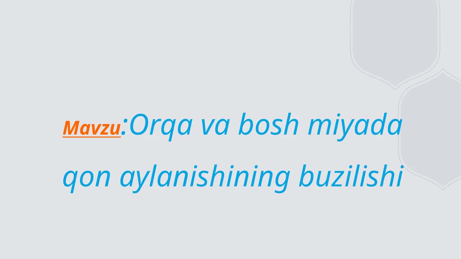 Miya va orqa miyada qon aylanishi