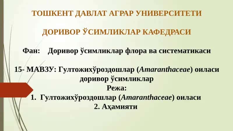 Гултожихўроздошлар (Amaranthaceae)