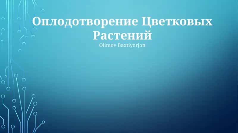 Оплодотворение Цветковых Растений