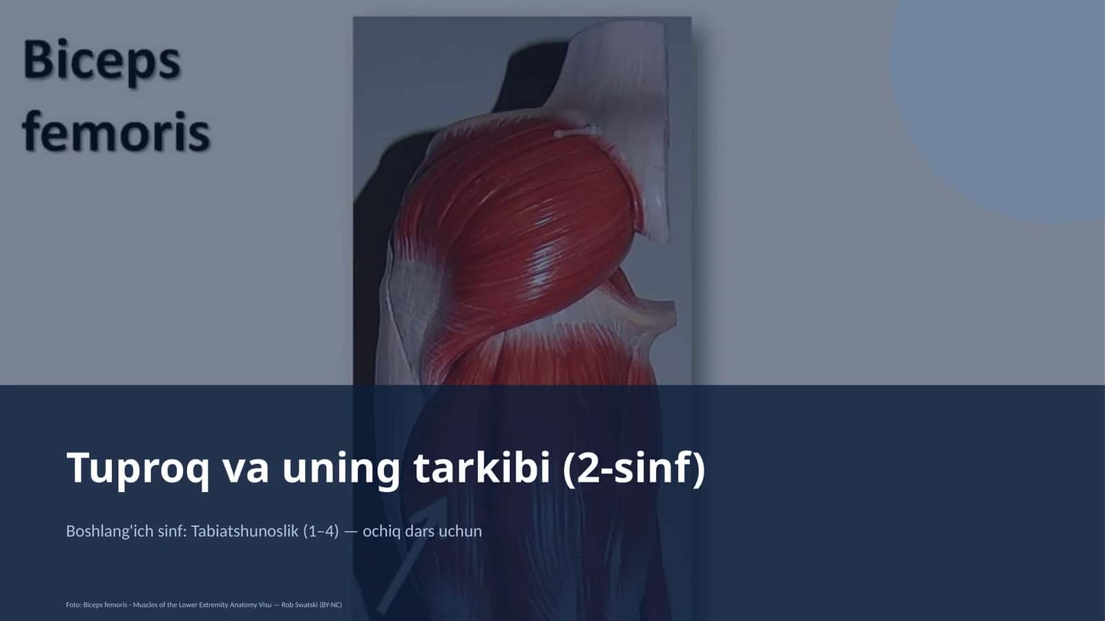 Troq va uning tarkibi (2-sinf)