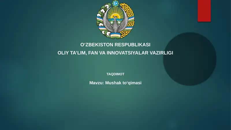 Mushakto‘qimasi