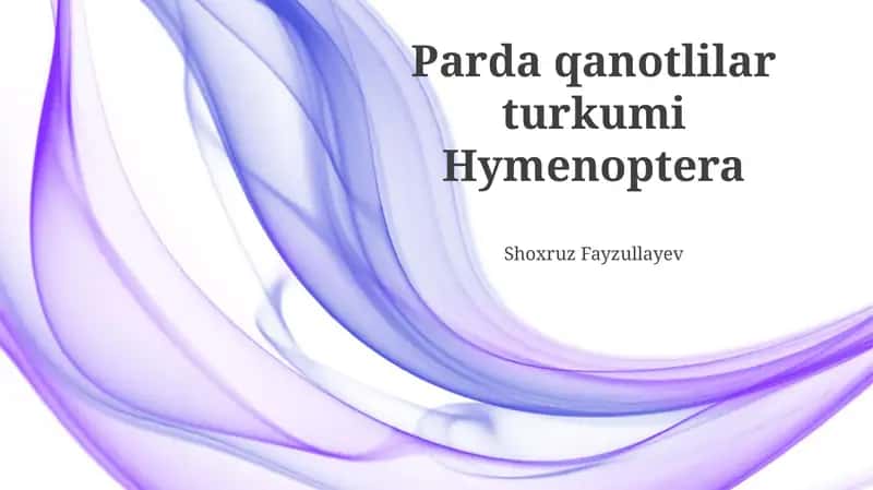 Parda qanotlilar turkumi Hymenoptera