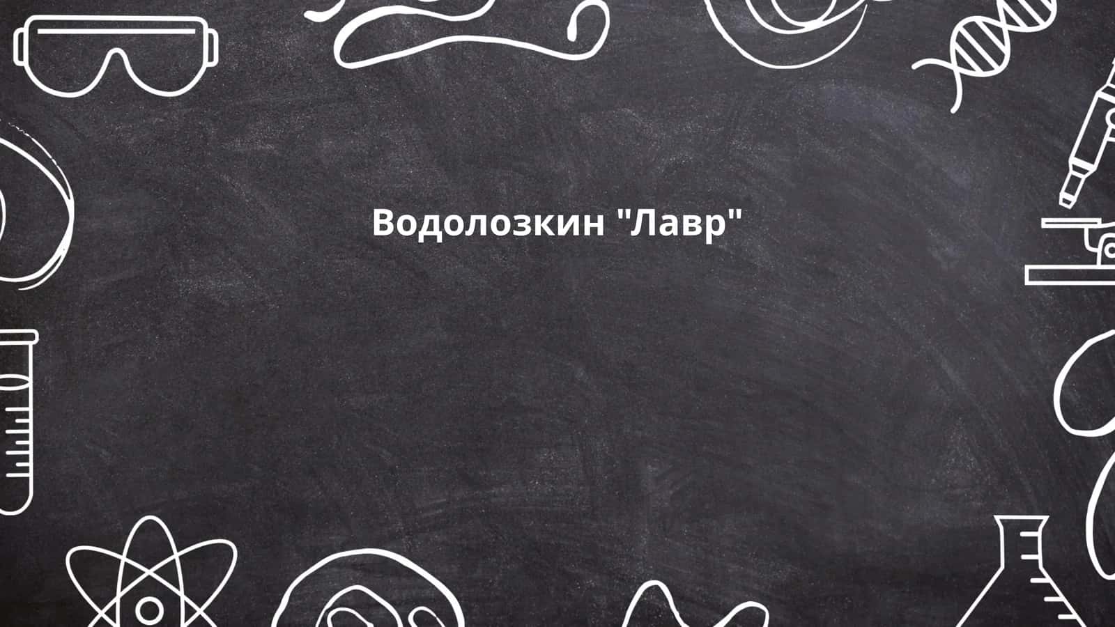 Водолозкин "Лавр"