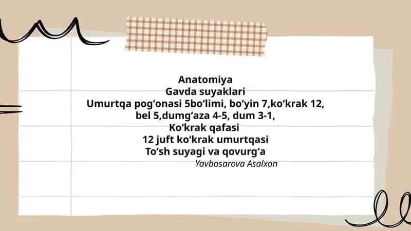 Anatomiya