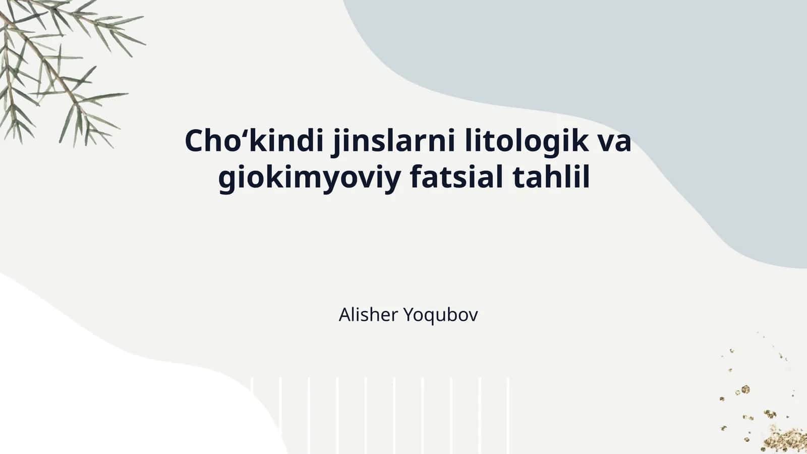 Choʻkindi jinslarni litologik va giokimyoviy fatsial tahlil