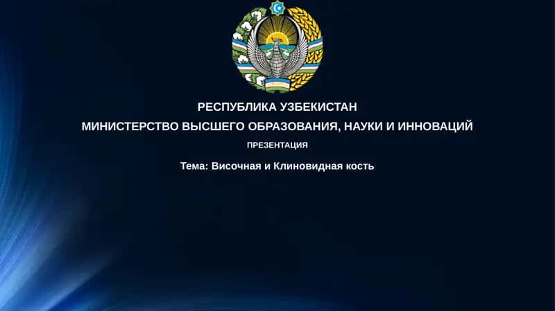 Презентация Височная и Клиновидная кость