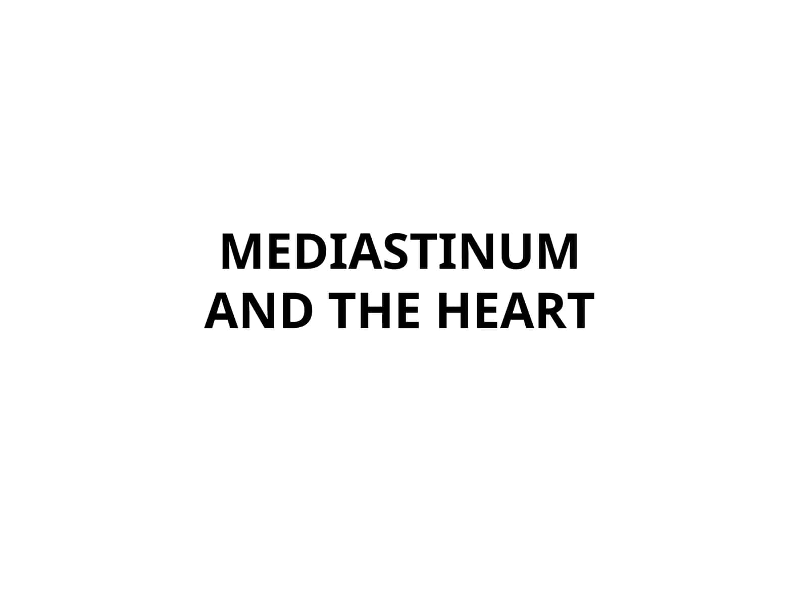 MEDIASINUMDAN QALB