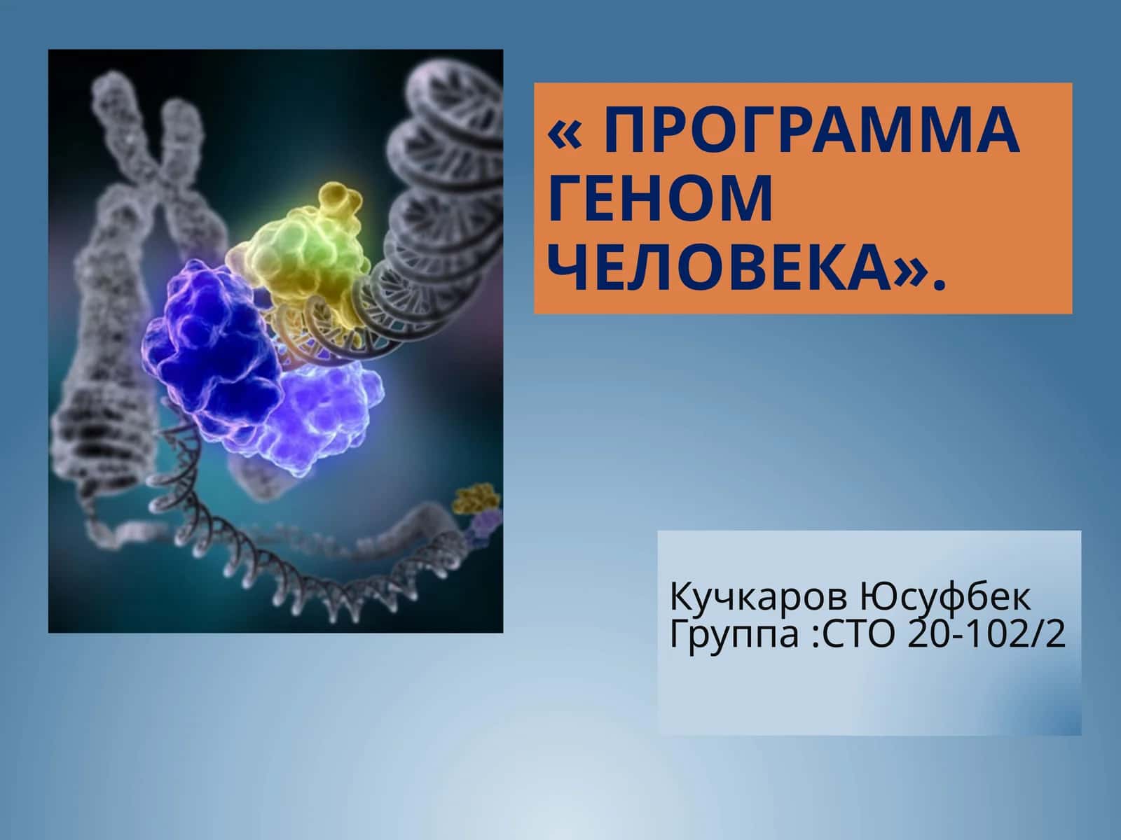 Программа Геном человека