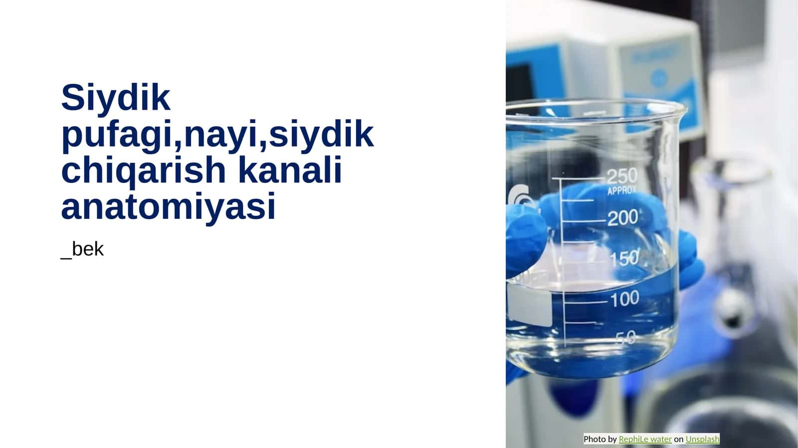 Siydik pufagi, nayi, siydik chiqarish kanali anatomiyasi