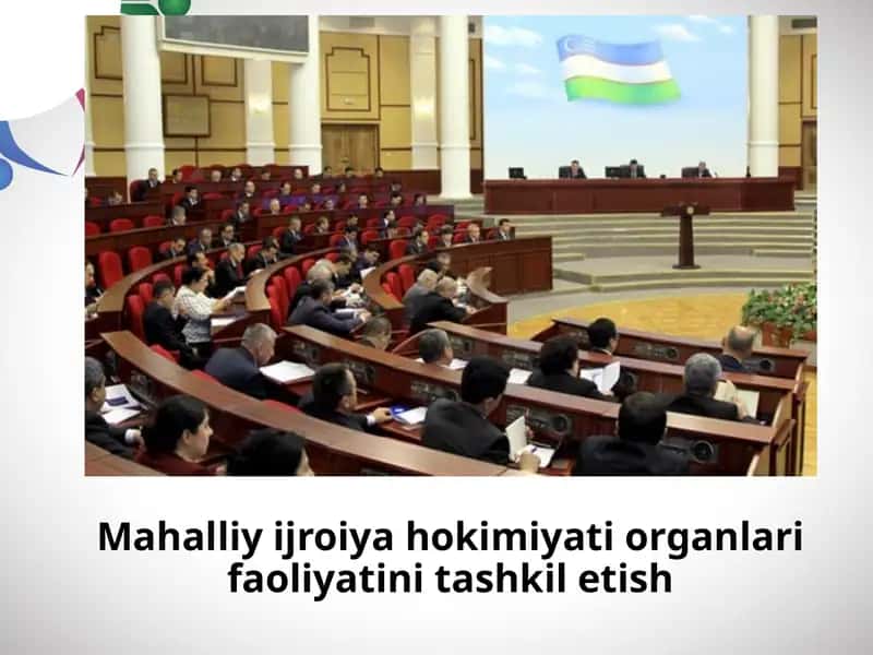Mahalliy ijroiya hokimiyati organlari faoliyatini tashkil etish