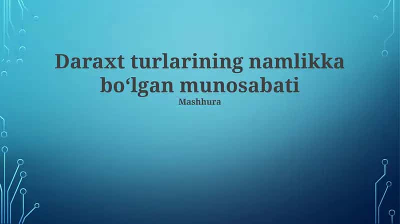Daraxt turlarining namlikka boʻlgan munosabati