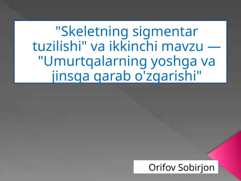 Skeletning sigmentar tuzilishi