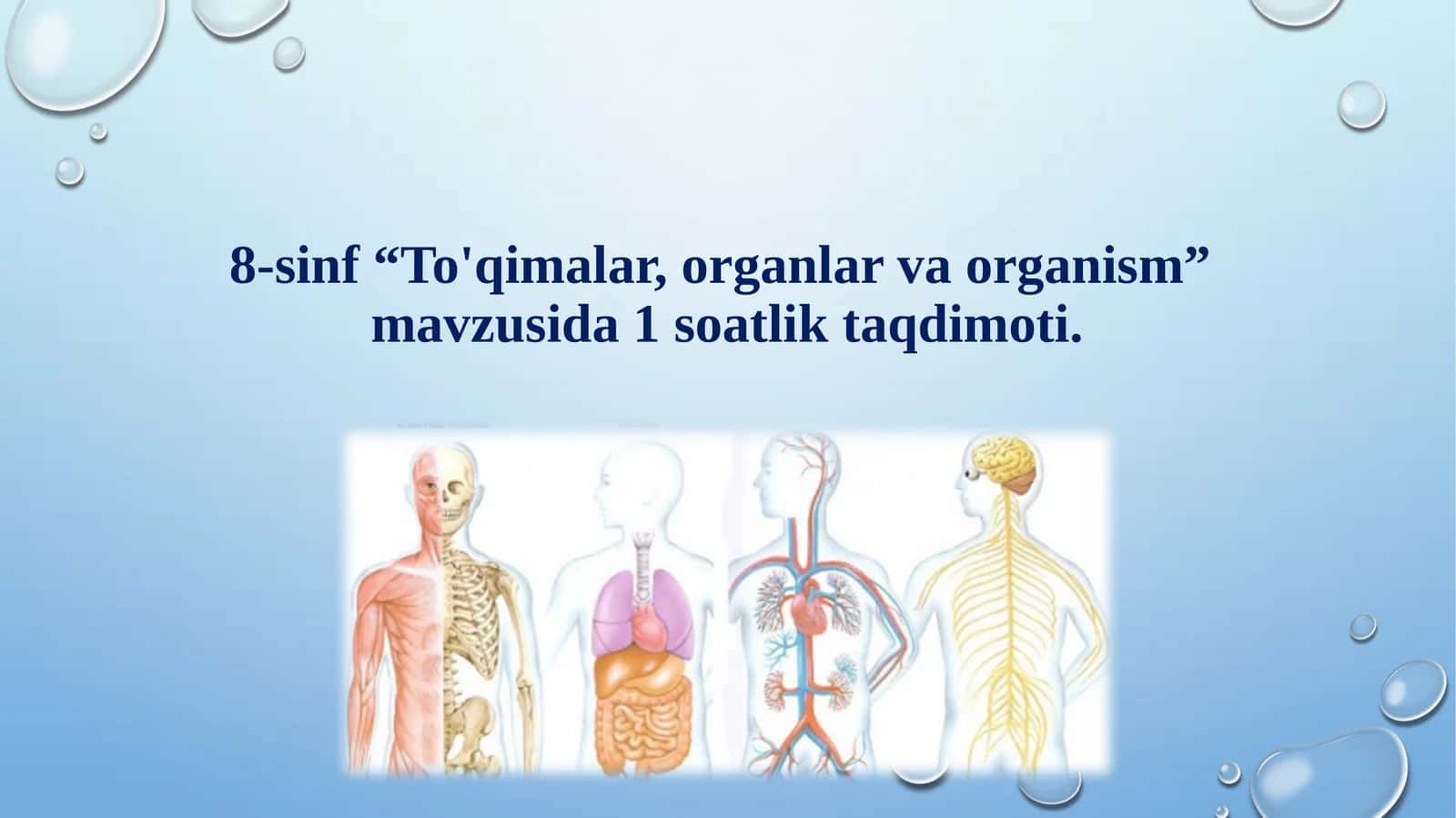 To'qimalar, organlar va organism mavzusida 8-sinf