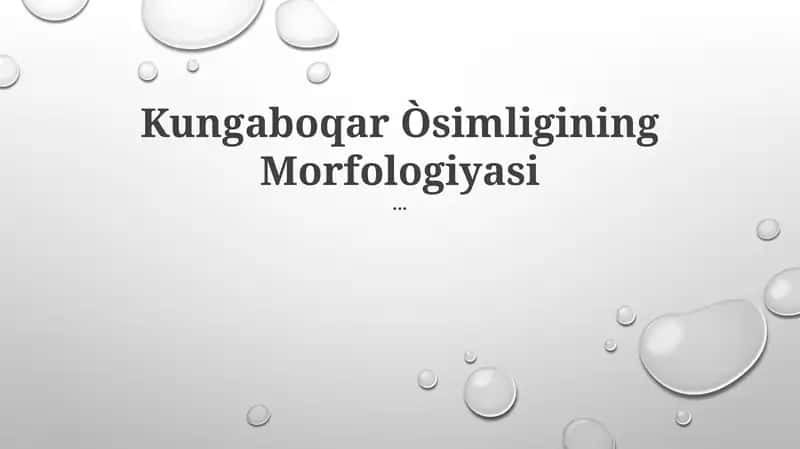 Kungaboqar Òsimligining Morfologiyasi