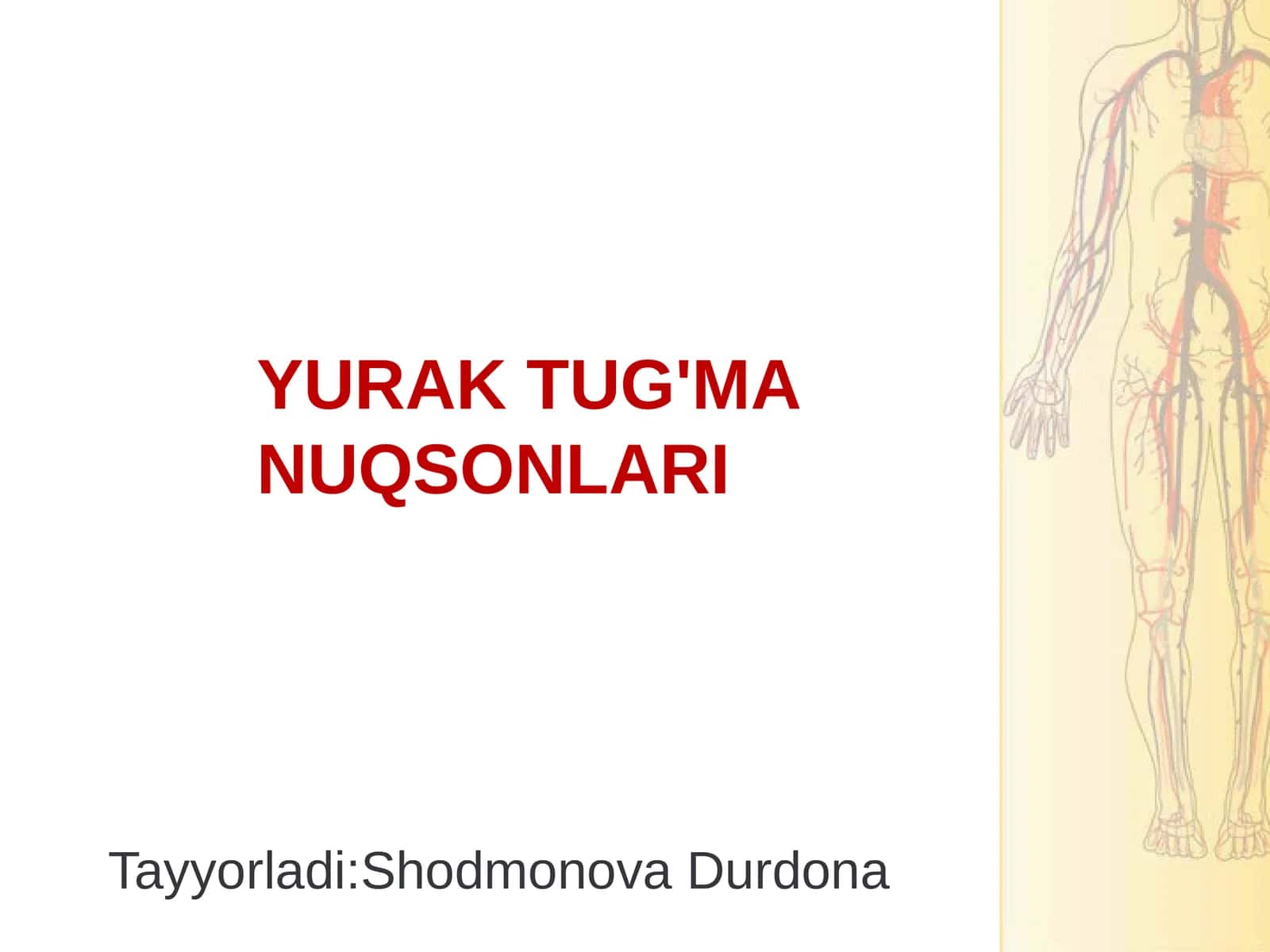 Tug'ma yurak nuqsonlari