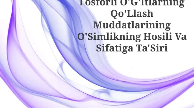 Fosforli O'G'Itlarning Qo'Llash Muddatlarining O'Simlikning Hosili Va Sifatiga Ta'Siri
