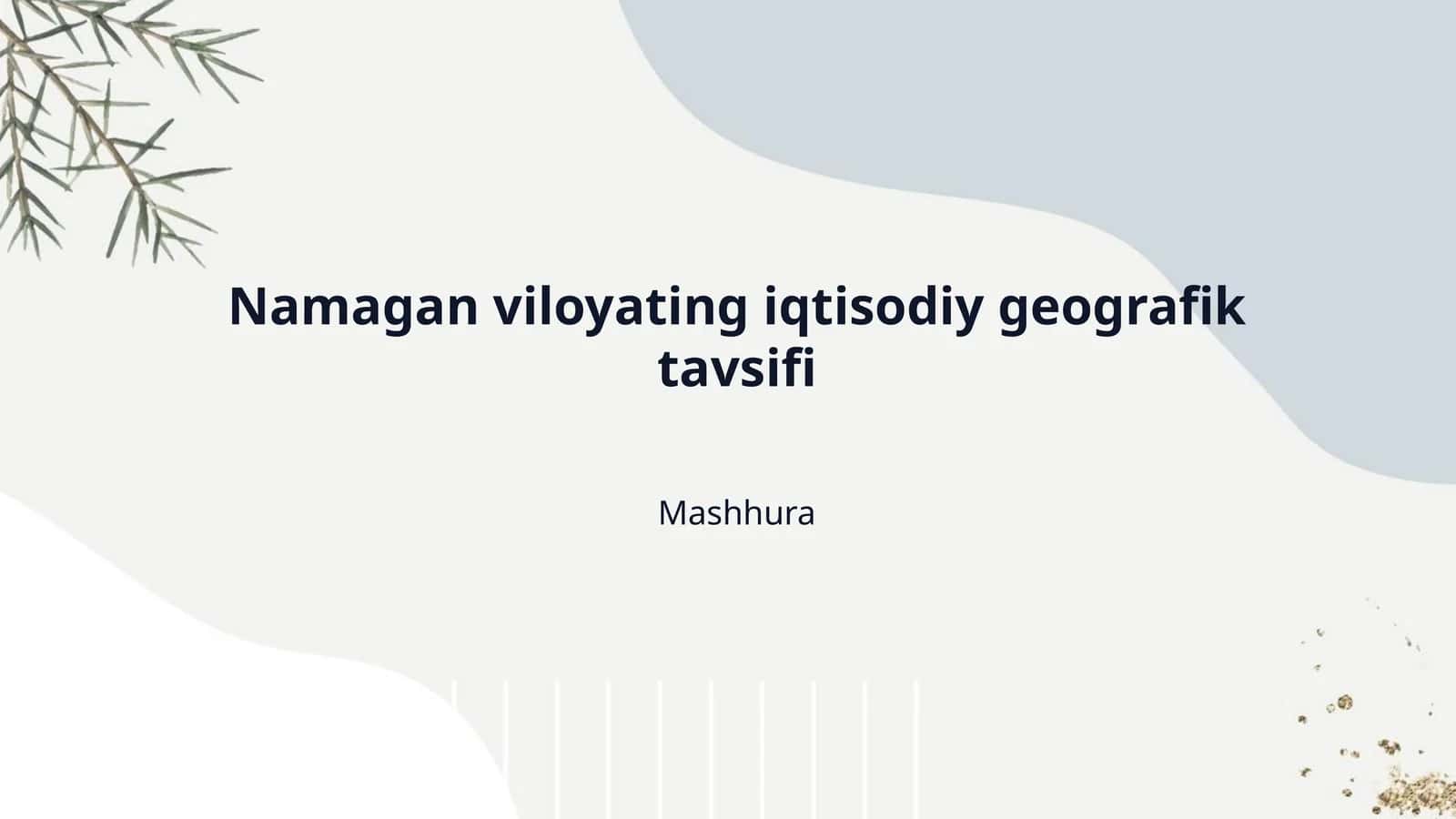 Namagan viloyating iqtisodiy geografik tavsifi