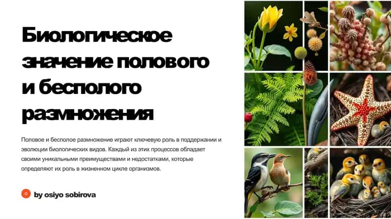 Биологическое значение полового и бесполого размножения