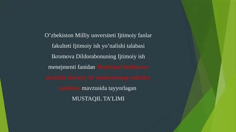 Munitsipal boshqaruv tizimida ijtimoiy ish amaliyotining tashkiliy tuzilmasi