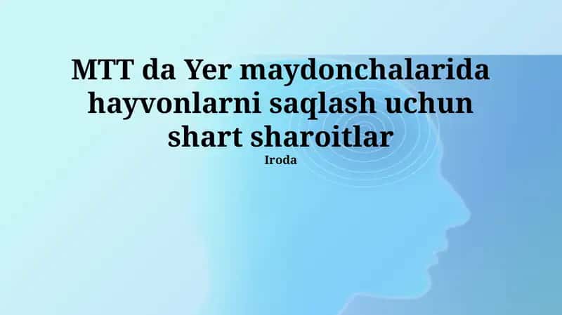 Hayvonlarni MTT Da Yer Oʻyin Maydonchalarida Saqlash Shartlari