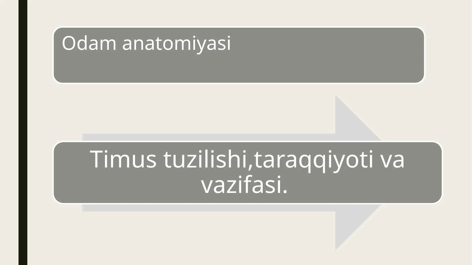 odam anatomiyasi timus tuzilishi 16t prezentatsiya