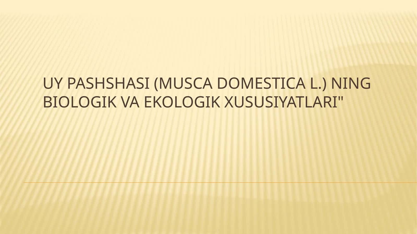 Uypashshasi(Musca domestica L.)ning biologik va ekologik xususiyatlari