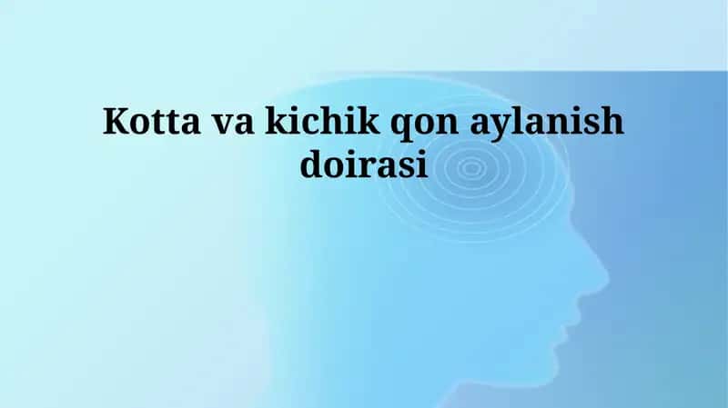 Sistem qon aylanishi