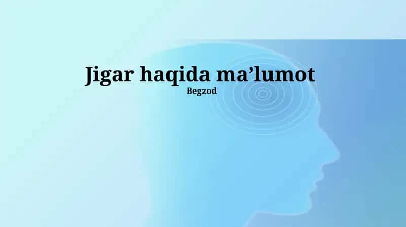 Jigar haqida umumiy ma'lumot