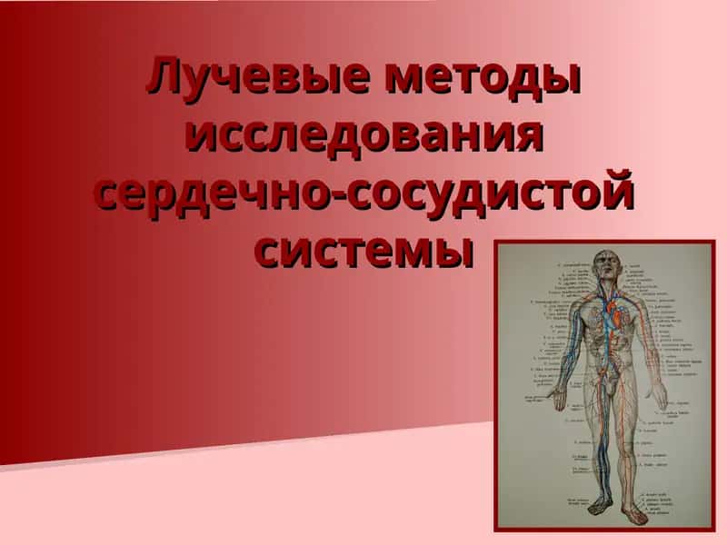 Лучевые методы исследования сердечно-сосудистой системы