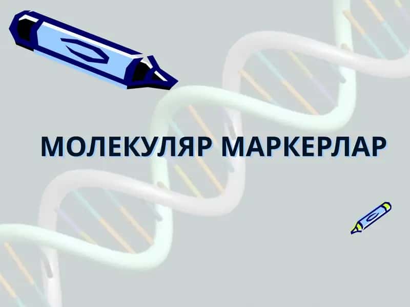 МОЛЕКУЛЯР МАРКЕРЛАР