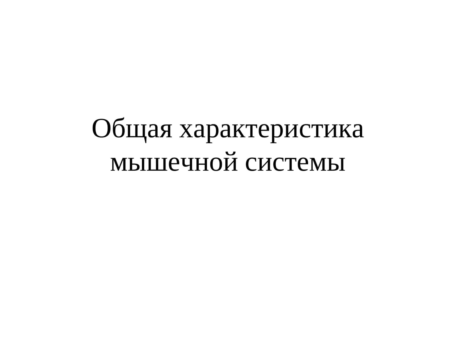 Общая характеристика мышечной системы
