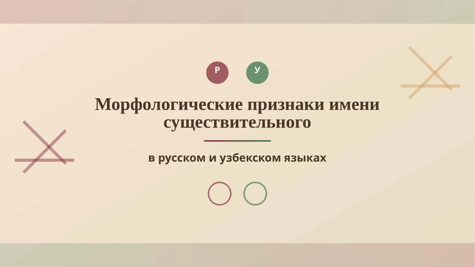 Морфологические признаки имени существительного