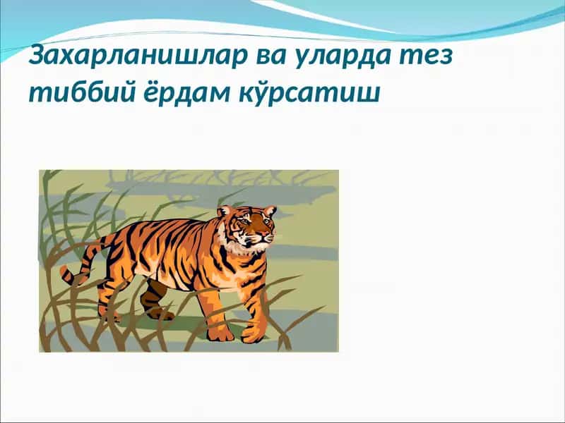 Захарланишлар ва уларда тез тиббий ёрдам кўрсатиш